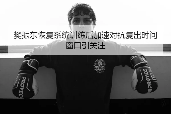 樊振东恢复系统训练后加速对抗复出时间窗口引关注